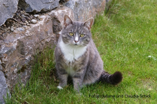 Juliane_mai_09 (211).JPG